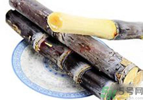 甘蔗可以放冰箱嗎？甘蔗可以在冰箱放多久？