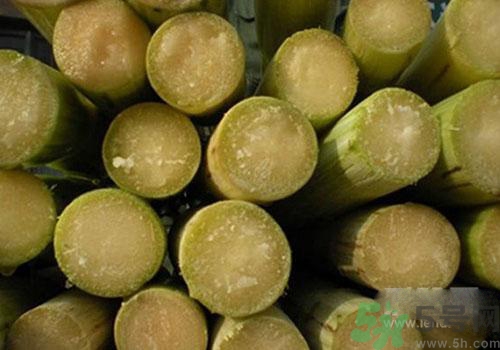 甘蔗可以放冰箱嗎？甘蔗可以在冰箱放多久？