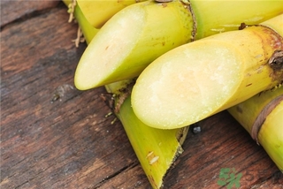 吃甘蔗有什么好處？吃甘蔗的好處與壞處