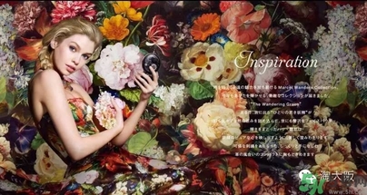 黛珂刺繡蜜粉餅怎么樣？黛珂旅行妖精粉餅好用嗎？