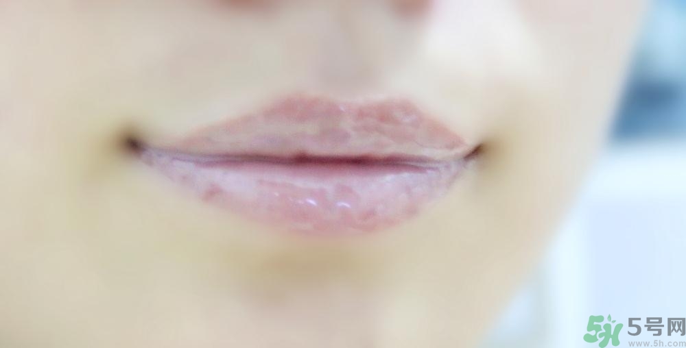 蘭芝唇膜多少錢(qián)?蘭芝唇膜韓國(guó)專(zhuān)柜價(jià)格