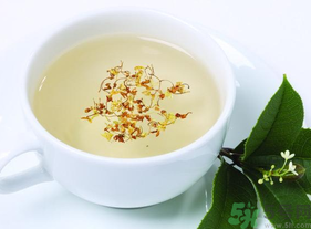 新鮮桂花能泡茶嗎？新鮮桂花怎么處理泡茶？