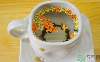 剛摘的桂花可以泡茶嗎？剛摘的桂花能泡茶嗎？