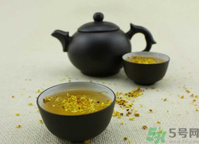 新鮮桂花可以泡水喝嗎？新鮮桂花泡水喝有什么好處？