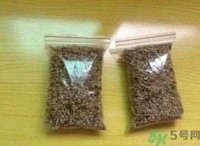 桂花怎么曬干？桂花曬好后可以做什么？