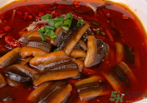 野生黃鱔有寄生蟲嗎？野生黃鱔怎么去寄生蟲？