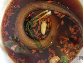 黃鱔泡酒喝能戒酒嗎？活黃鱔泡酒能戒酒嗎？