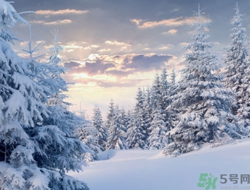 凍瘡是由于皮膚哪一部分受損而引起的？