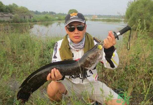 路亞釣黑魚用什么假餌？路亞釣黑魚用什么餌？