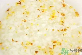 新鮮桂花可以煮粥嗎？桂花可以煮粥嗎？