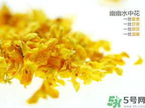 桂花可以泡水喝嗎？桂花怎么泡水？