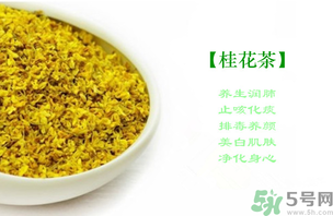 新鮮桂花怎么做茶？新鮮桂花怎么做桂花茶？