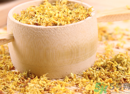 新鮮桂花能泡茶嗎？新鮮怎么處理泡茶？