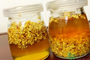 干桂花可以做桂花蜜嗎？干桂花怎么做桂花蜜？