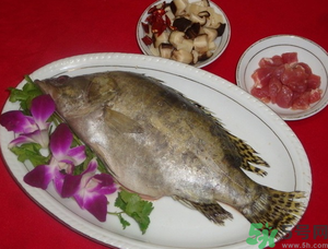 桂魚怎么保存？桂魚放冰箱怎么保存？