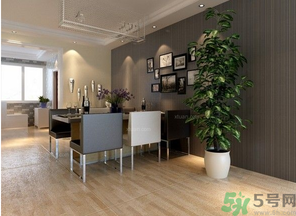 桂花樹可以種在室內(nèi)嗎？桂花樹適合在室內(nèi)嗎？