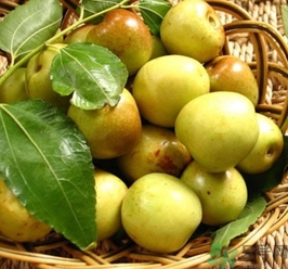 糖精棗吃了會怎樣？糖精棗有什么危害？