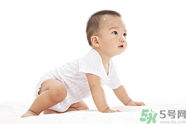 吃南瓜子可以打蟲嗎,南瓜子能打蛔蟲嗎？