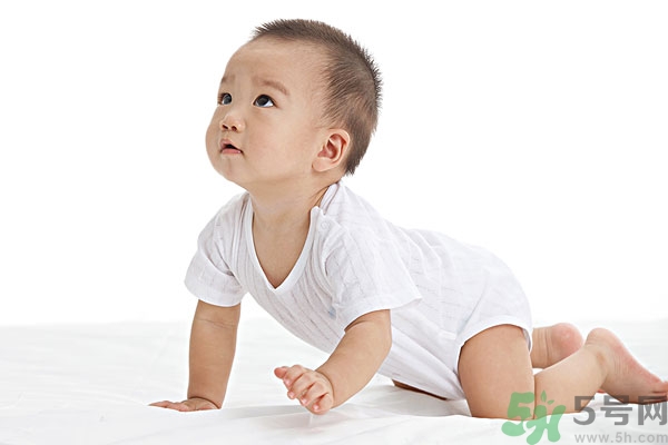 吃南瓜子可以打蟲嗎,南瓜子能打蛔蟲嗎？