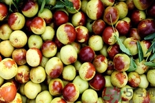 冬棗用什么泡會(huì)變紅？冬棗用糖水泡是真的嗎？