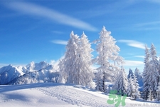 冬季養(yǎng)生喝什么湯最好？冬天適合喝什么湯？