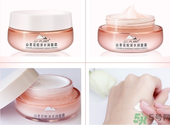 植物醫(yī)生山茶花面霜多少錢(qián)?植物醫(yī)生山茶花面霜專柜價(jià)格
