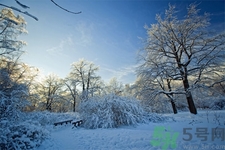 立冬能吃冬棗嗎？立冬吃冬棗有什么好處？