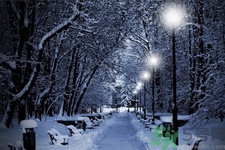 立冬能吃冬棗嗎？立冬吃冬棗有什么好處？