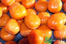 紅薯和柿子能一起吃嗎？紅薯和柿子為什么不能一起吃？