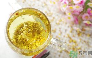 月經(jīng)期能喝桂花茶嗎？經(jīng)期能喝桂花茶嗎？