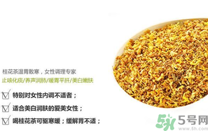 月經(jīng)期能喝桂花茶嗎？經(jīng)期能喝桂花茶嗎？