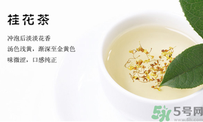 月經(jīng)期能喝桂花茶嗎？經(jīng)期能喝桂花茶嗎？