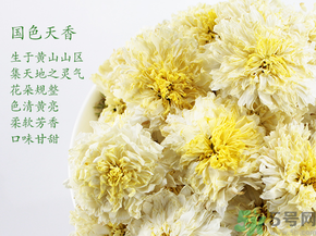 菊花茶可以放冰箱嗎？菊花茶能放冰箱冷凍嗎？