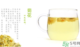 菊花茶可以放冰箱嗎？菊花茶能放冰箱冷凍嗎？