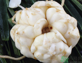 新鮮百合有苦味能吃嗎？鮮百合怎么去苦味？