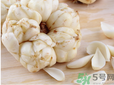 新鮮百合什么時(shí)候上市？鮮百合什么時(shí)候上市？