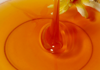 野生蜂蜜怎么提取？野生蜂蜜怎么過濾？