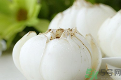 新鮮百合可以生吃嗎？新鮮百合能吃嗎？