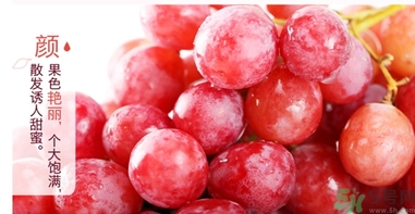 紅提的籽能吃嗎？紅提的籽怎么吃最好？