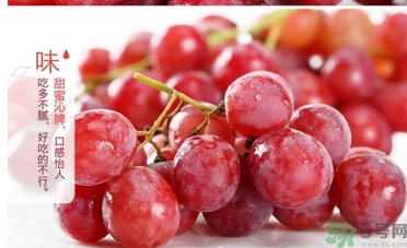 紅提的籽能吃嗎？紅提的籽怎么吃最好？