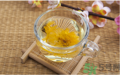 菊花茶可以天天喝嗎？菊花茶喝多了會怎么樣？