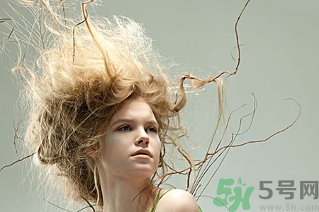 冬天用什么梳子比較好？頭發(fā)總愛靜電用什么梳子好？