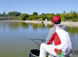 秋天釣魚用什么打窩？秋天釣鯉魚用什么打窩？