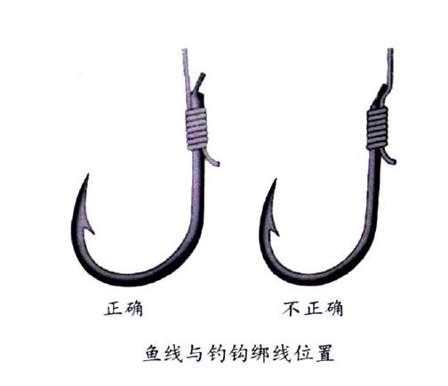 釣鯉魚用幾號(hào)鉤？釣鯉魚用什么鉤？