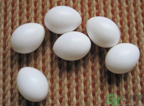 鴿子蛋多少錢(qián)一個(gè)？鴿子蛋多少錢(qián)一斤？?