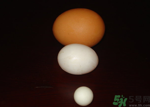 鴿子蛋多少錢(qián)一個(gè)？鴿子蛋多少錢(qián)一斤？?