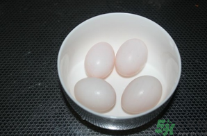 鴿子蛋可以放冰箱嗎？鴿子蛋放冰箱可以放多久？