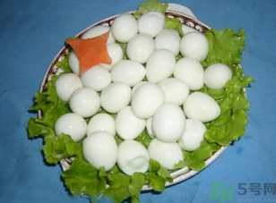 鴿子蛋怎么煮不會破裂？鴿子蛋怎么煮不會破？