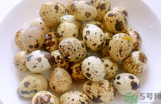 鵪鶉蛋一千克大約多少個？鵪鶉蛋一個多少克？