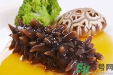 吃海參會上火嗎？經(jīng)常吃海參會上火嗎？